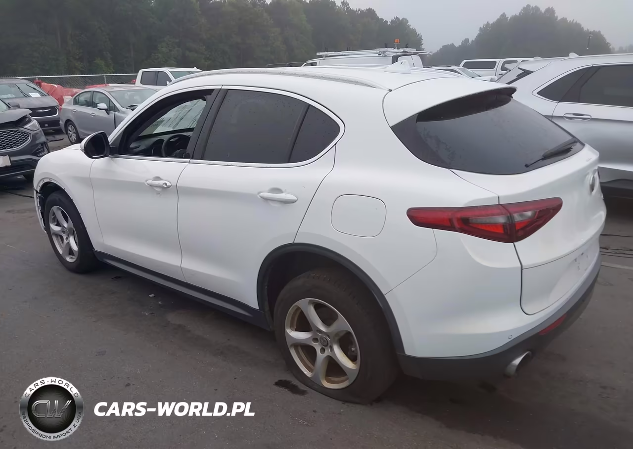 2019 Alfa Romeo Stelvio Rwd VIN:ZASPAJAN3K7C35456 - 3