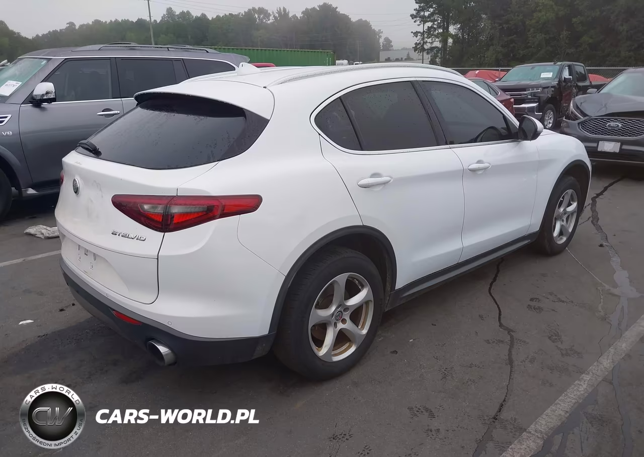 2019 Alfa Romeo Stelvio Rwd VIN:ZASPAJAN3K7C35456 - 4