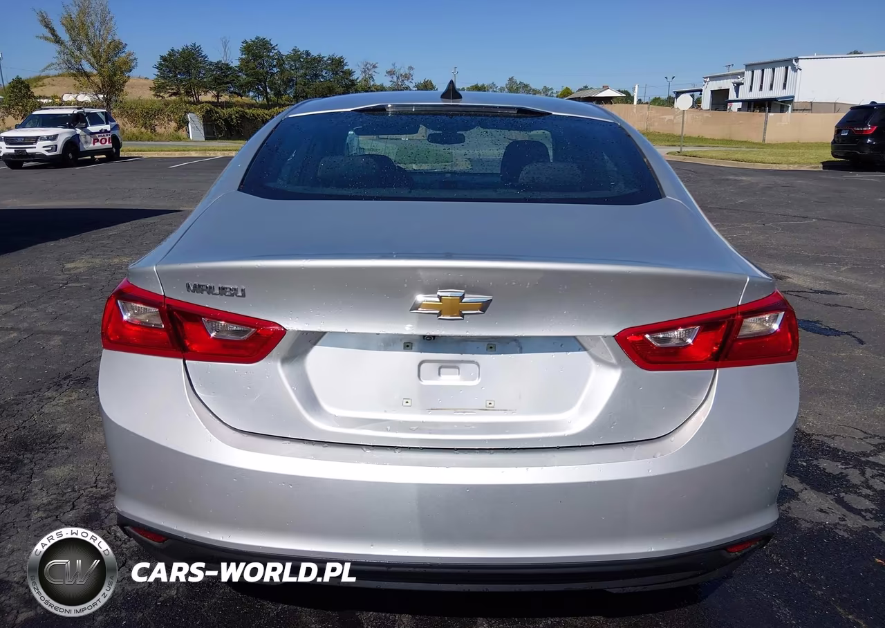 2020 Chevrolet Malibu Fwd 1Fl VIN:1G1ZC5ST6LF099419 - 20