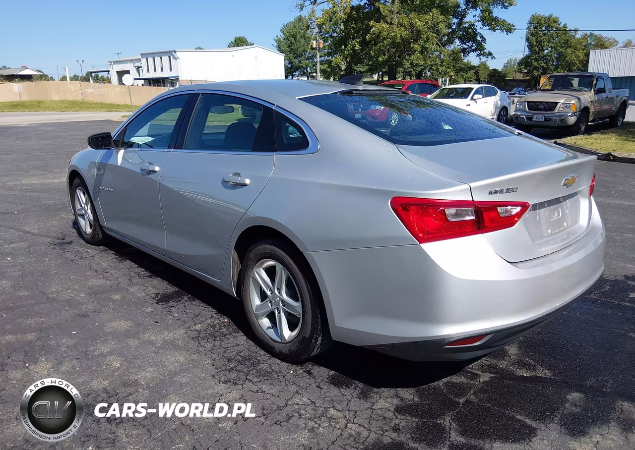 2020 Chevrolet Malibu Fwd 1Fl VIN:1G1ZC5ST6LF099419 - 3
