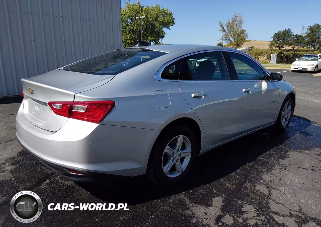 2020 Chevrolet Malibu Fwd 1Fl VIN:1G1ZC5ST6LF099419 - 4