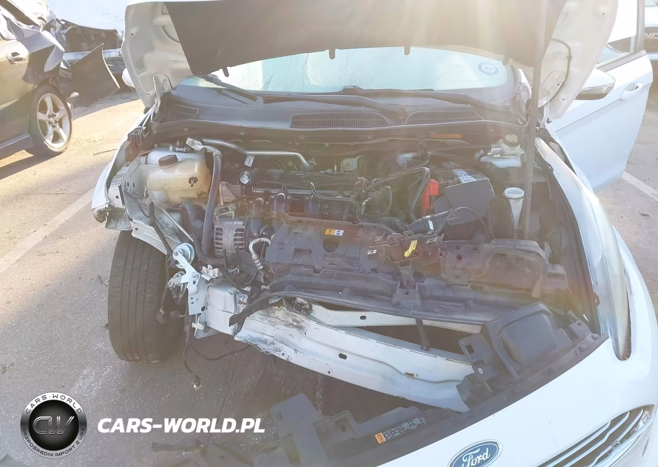 2014 Ford Fiesta Se VIN:3FADP4BJ9EM174587 - 10