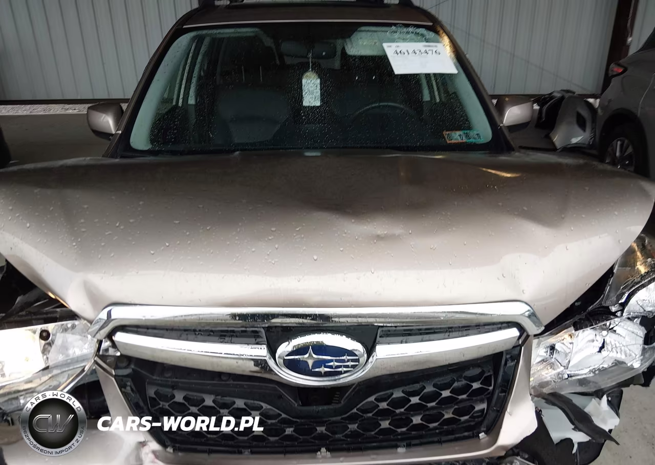 2016 Subaru Forester 2.5I Limited VIN:JF2SJAHC2GH471056 - 12