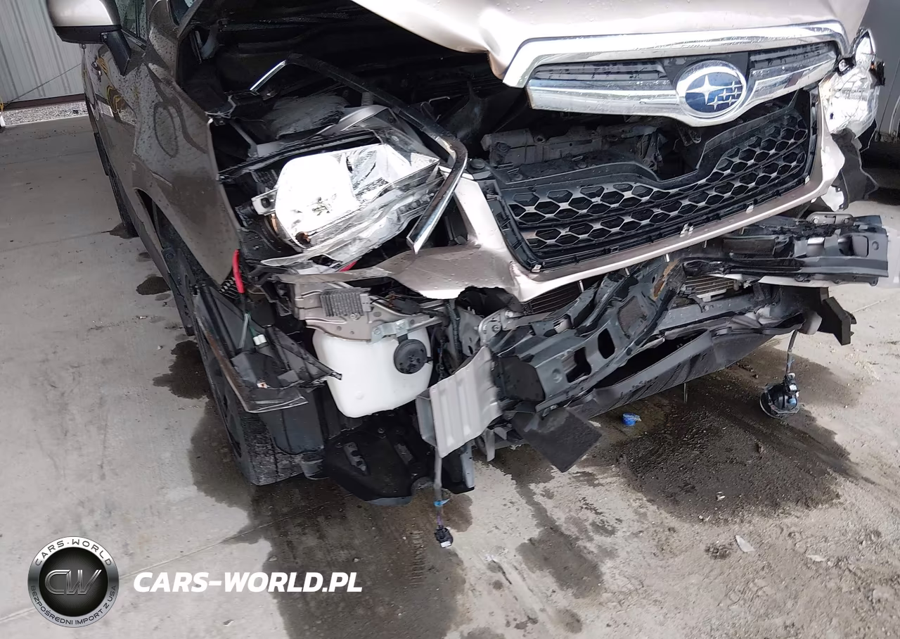 2016 Subaru Forester 2.5I Limited VIN:JF2SJAHC2GH471056 - 18