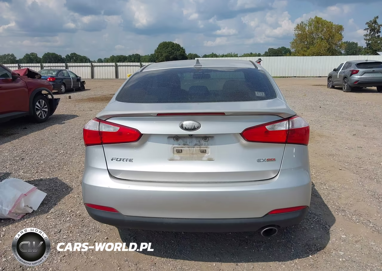 2014 Kia Forte Ex VIN:KNAFX4A82E5076327 - 17