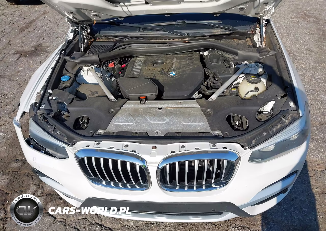 2019 BMW X3 Sdrive30I VIN:5UXTR7C53KLE88513 - 10