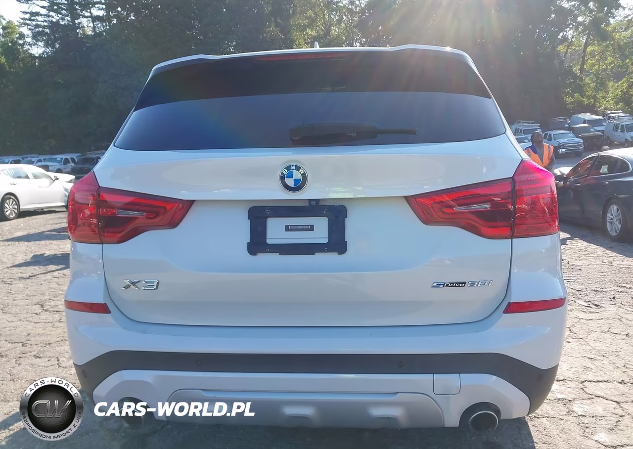 2019 BMW X3 Sdrive30I VIN:5UXTR7C53KLE88513 - 17