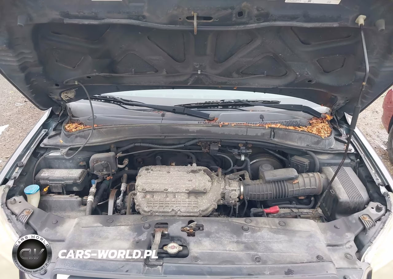 2006 Honda Pilot Ex-L VIN:2HKYF18696H536294 - 10