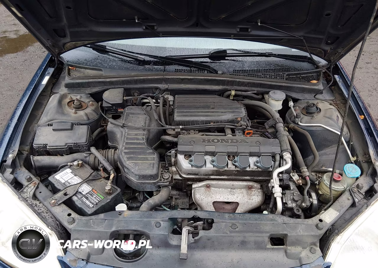 2003 Honda Civic Lx VIN:2HGES16503H554794 - 10
