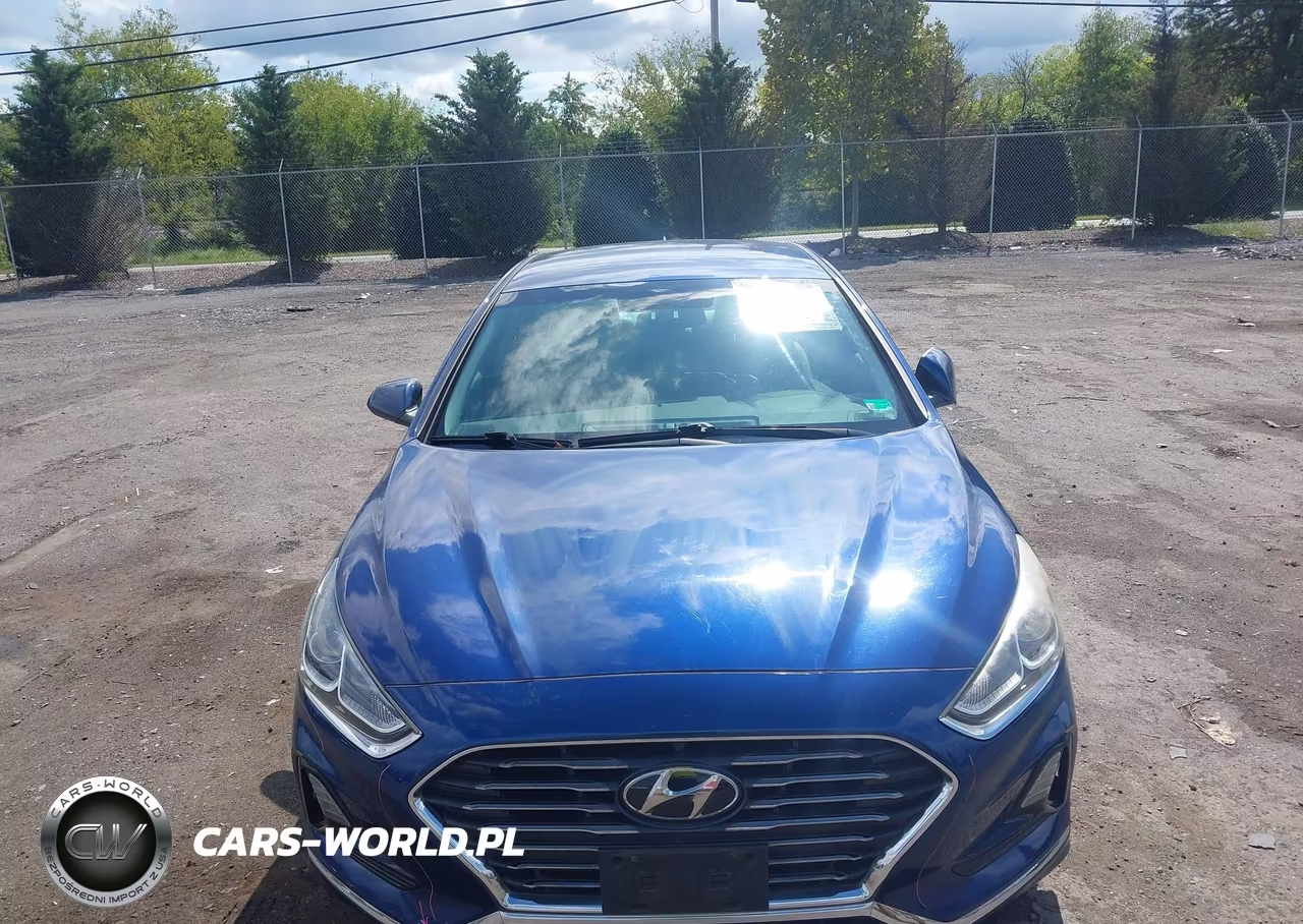 2019 Hyundai Sonata Se VIN:5NPE24AF6KH763530 - 12