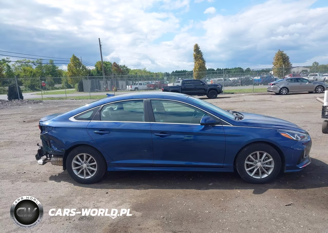 2019 Hyundai Sonata Se VIN:5NPE24AF6KH763530 - 13
