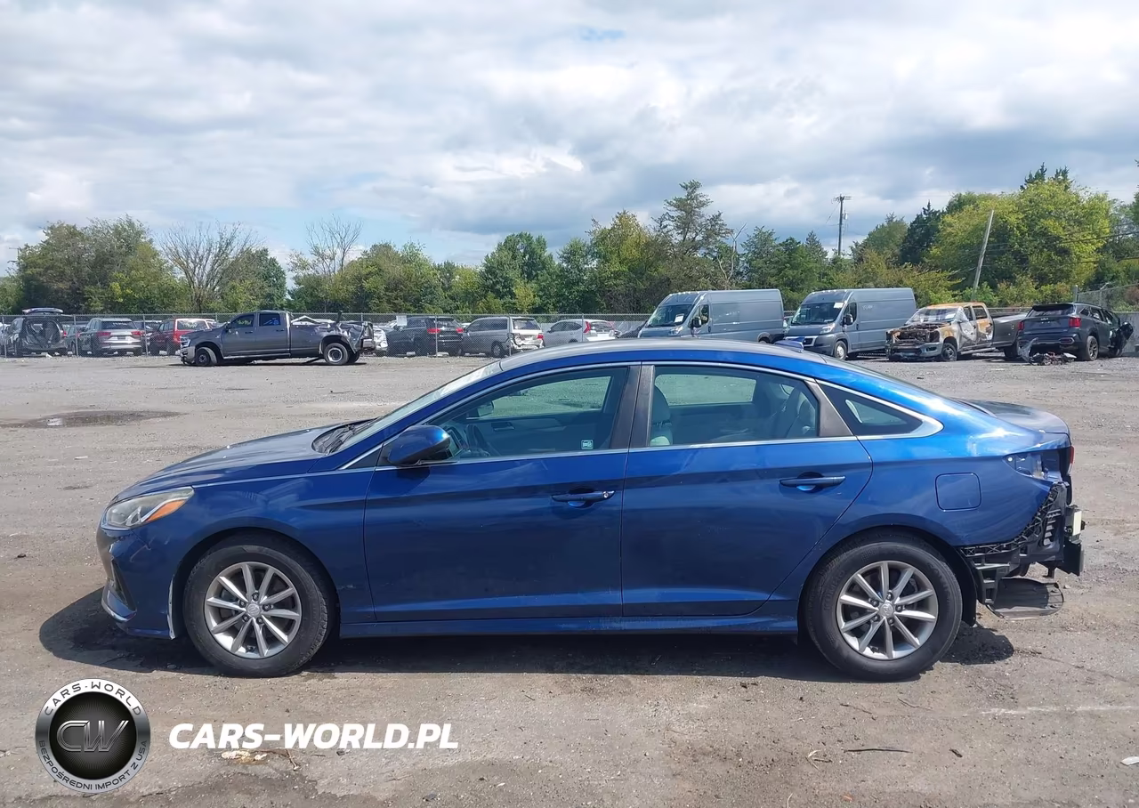 2019 Hyundai Sonata Se VIN:5NPE24AF6KH763530 - 14