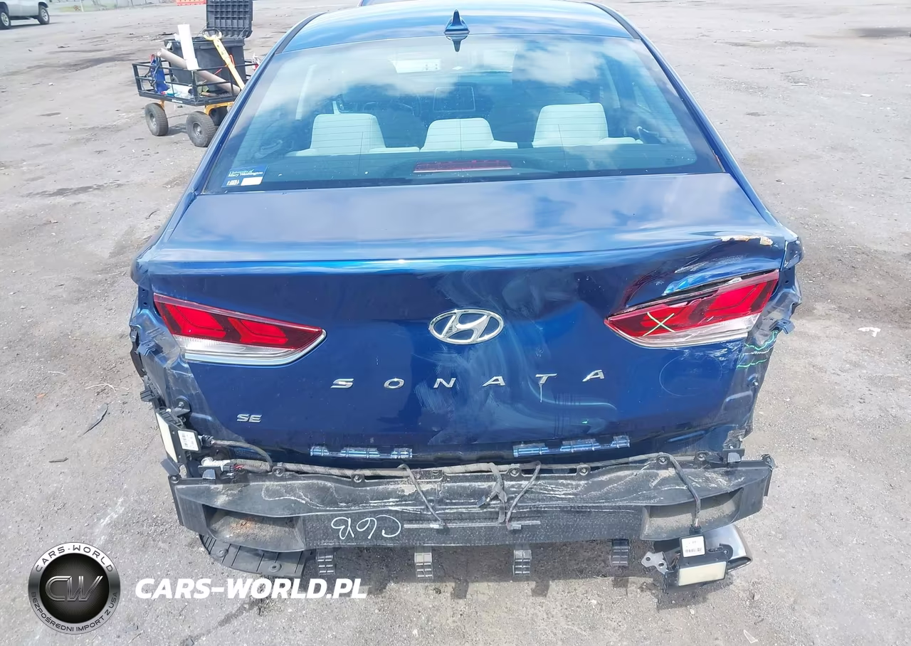 2019 Hyundai Sonata Se VIN:5NPE24AF6KH763530 - 6