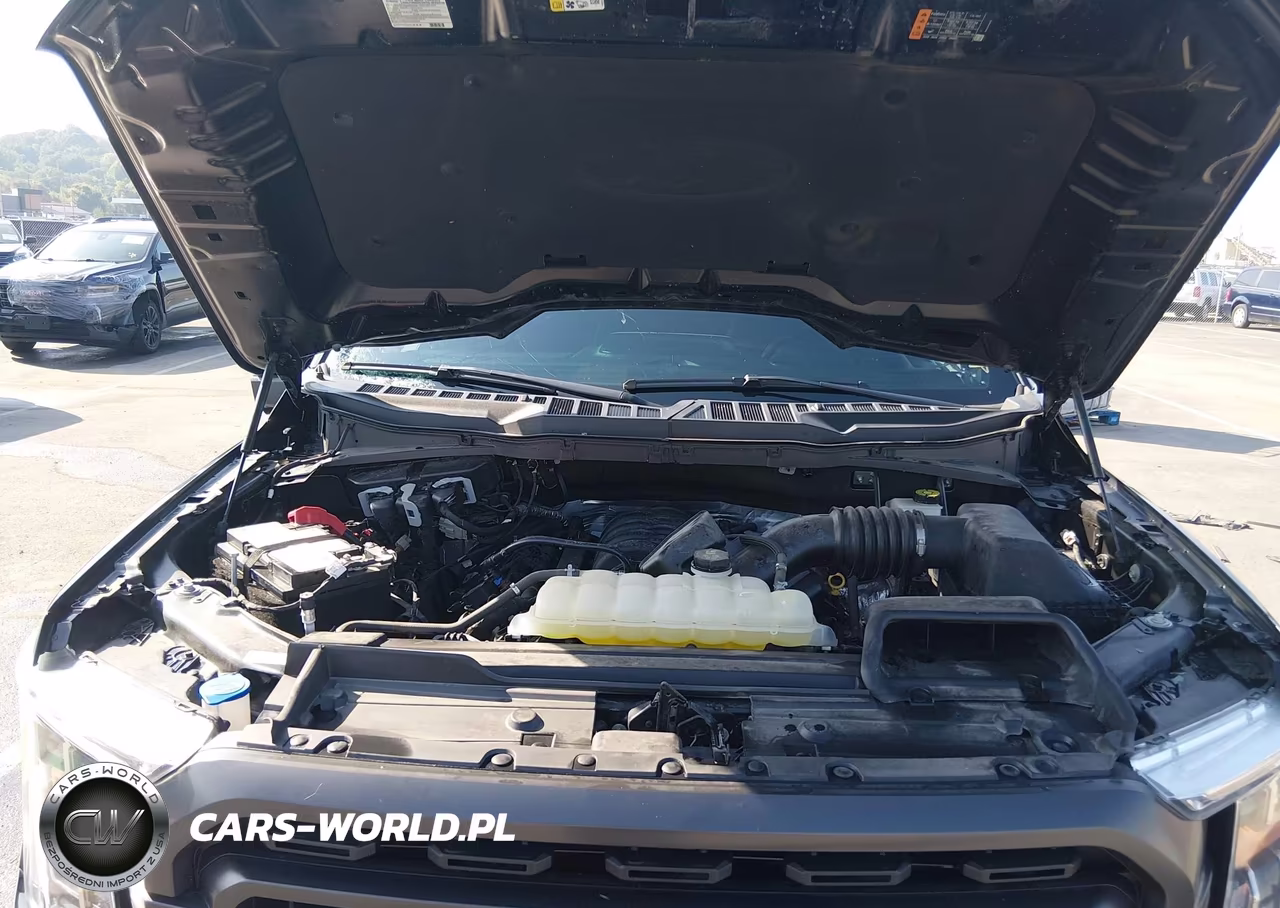 2023 Ford F-150 Xlt VIN:1FTFW1E59PKG12327 - 10