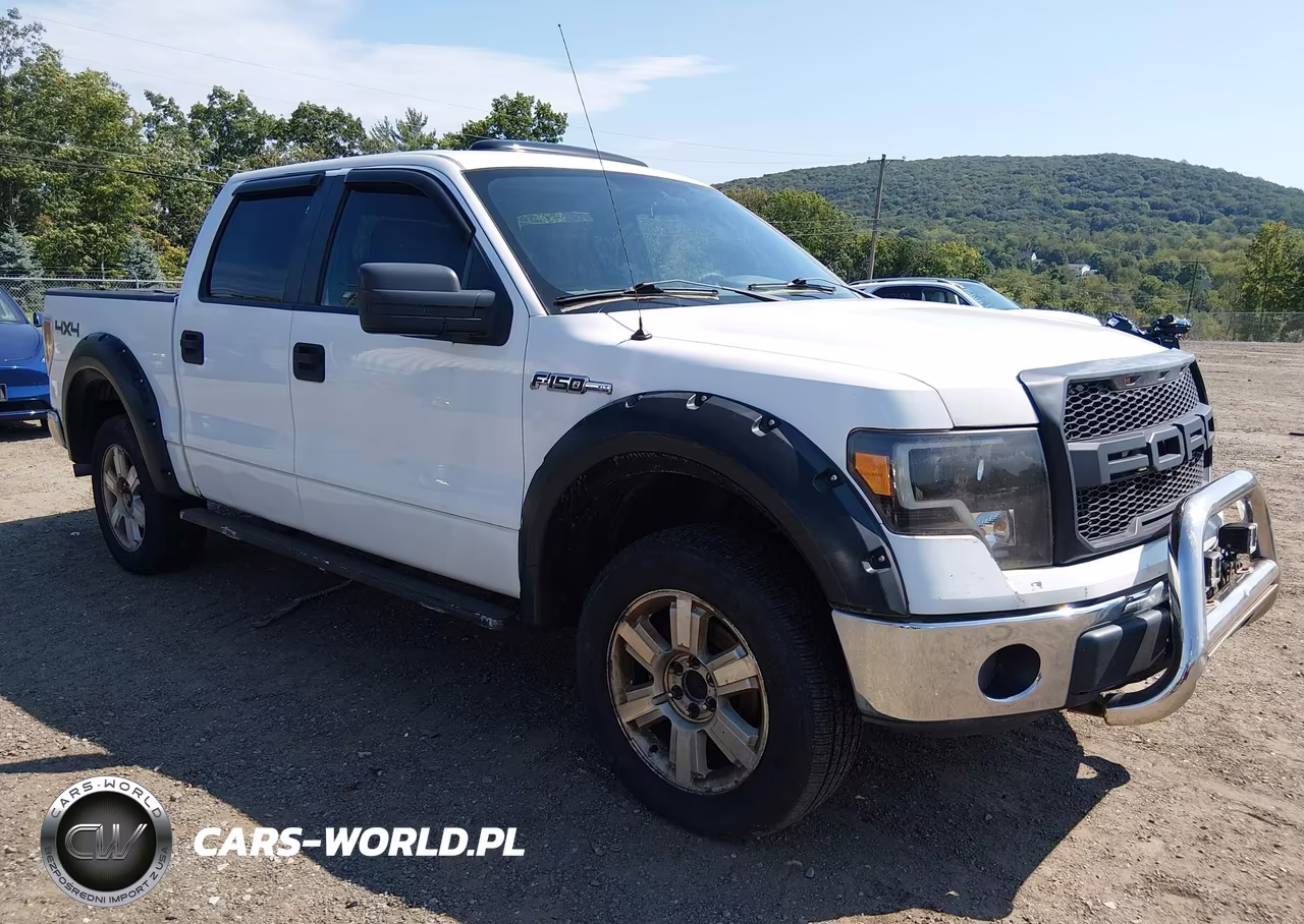 2013 Ford F-150 Xlt