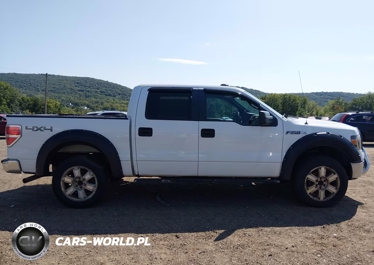 2013 Ford F-150 Xlt VIN:1FTFW1EF9DFB68170 - 13