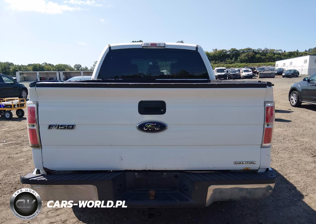 2013 Ford F-150 Xlt VIN:1FTFW1EF9DFB68170 - 16