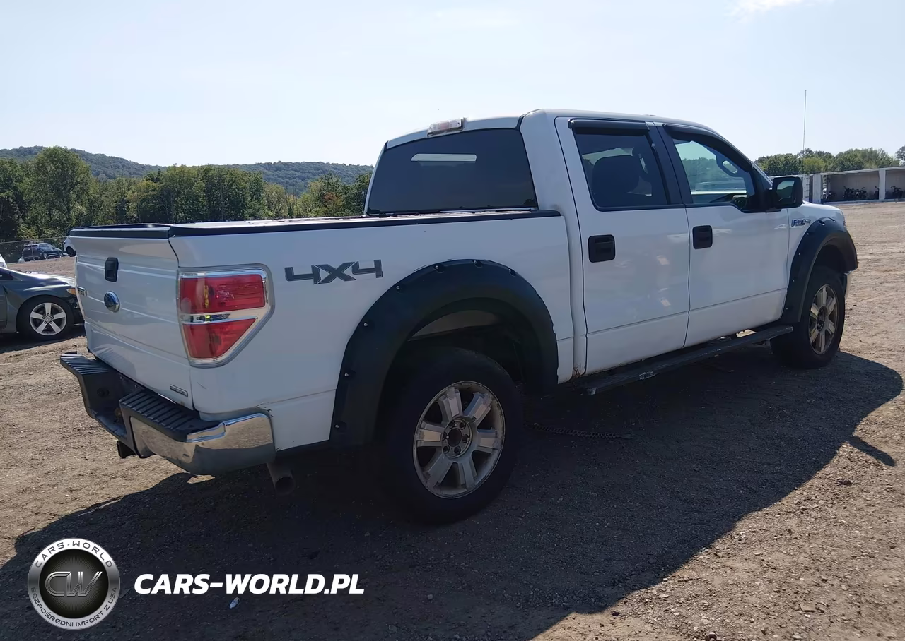 2013 Ford F-150 Xlt VIN:1FTFW1EF9DFB68170 - 4