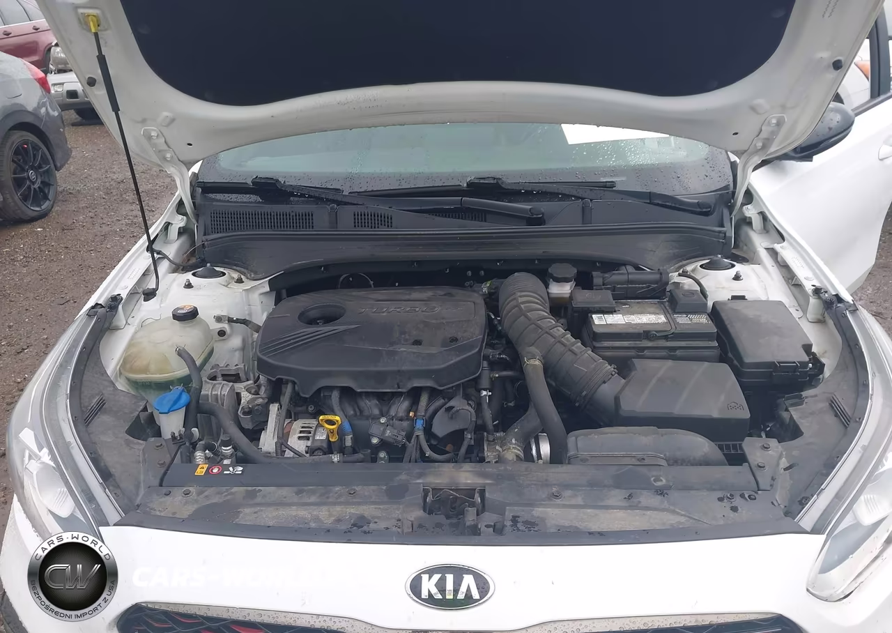 2021 Kia Forte Gt Manual VIN:3KPF44AC7ME282441 - 10