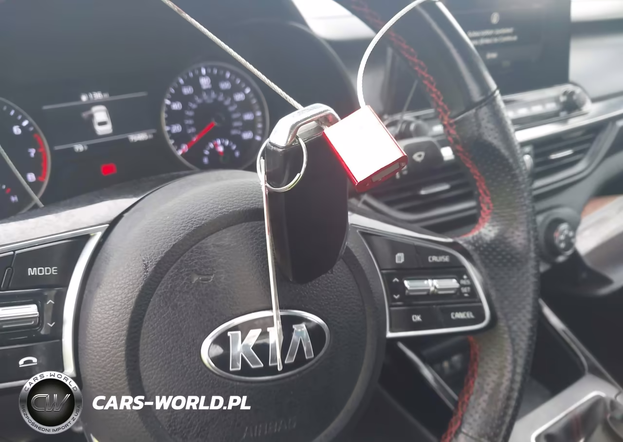 2021 Kia Forte Gt Manual VIN:3KPF44AC7ME282441 - 11
