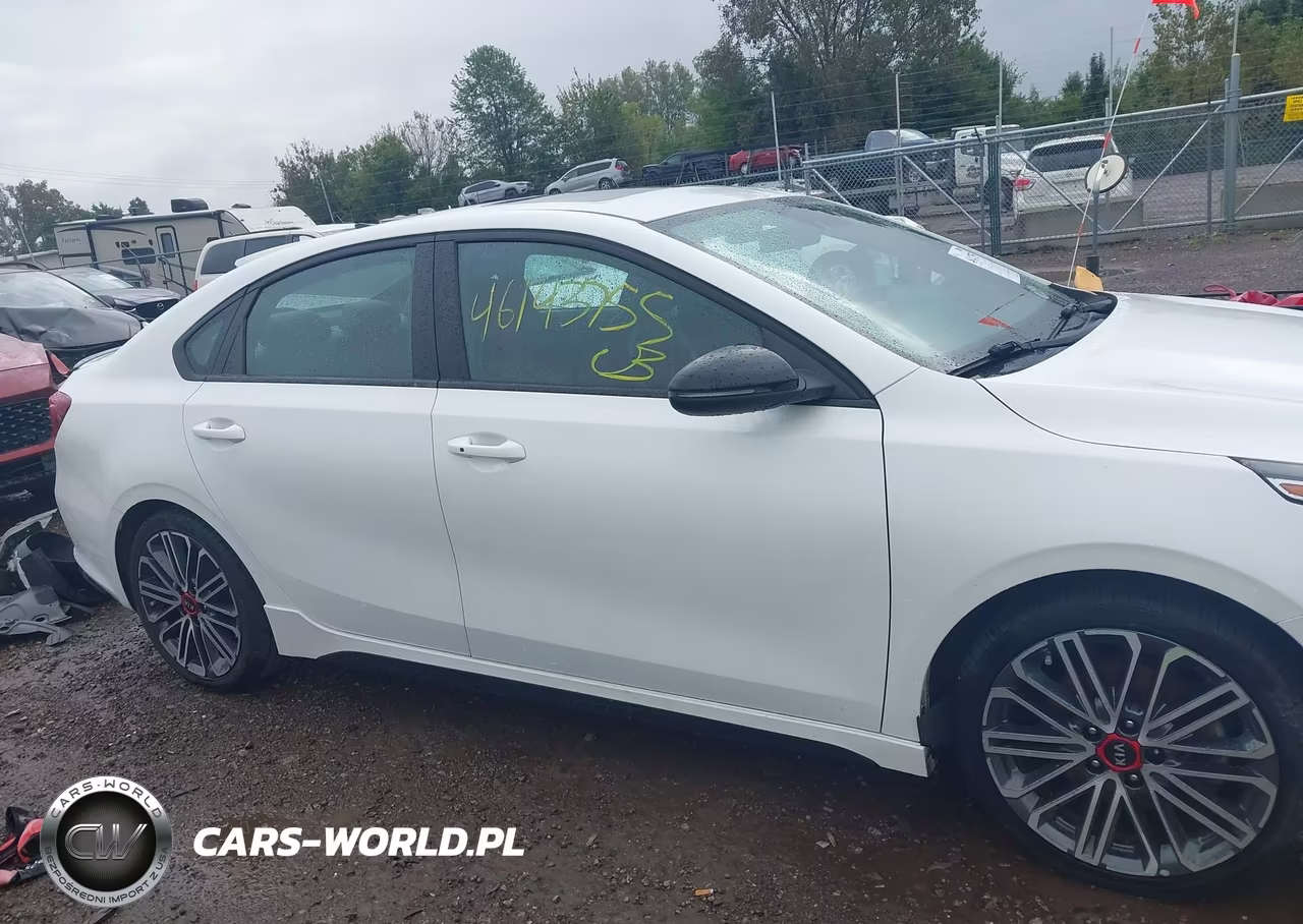 2021 Kia Forte Gt Manual VIN:3KPF44AC7ME282441 - 13