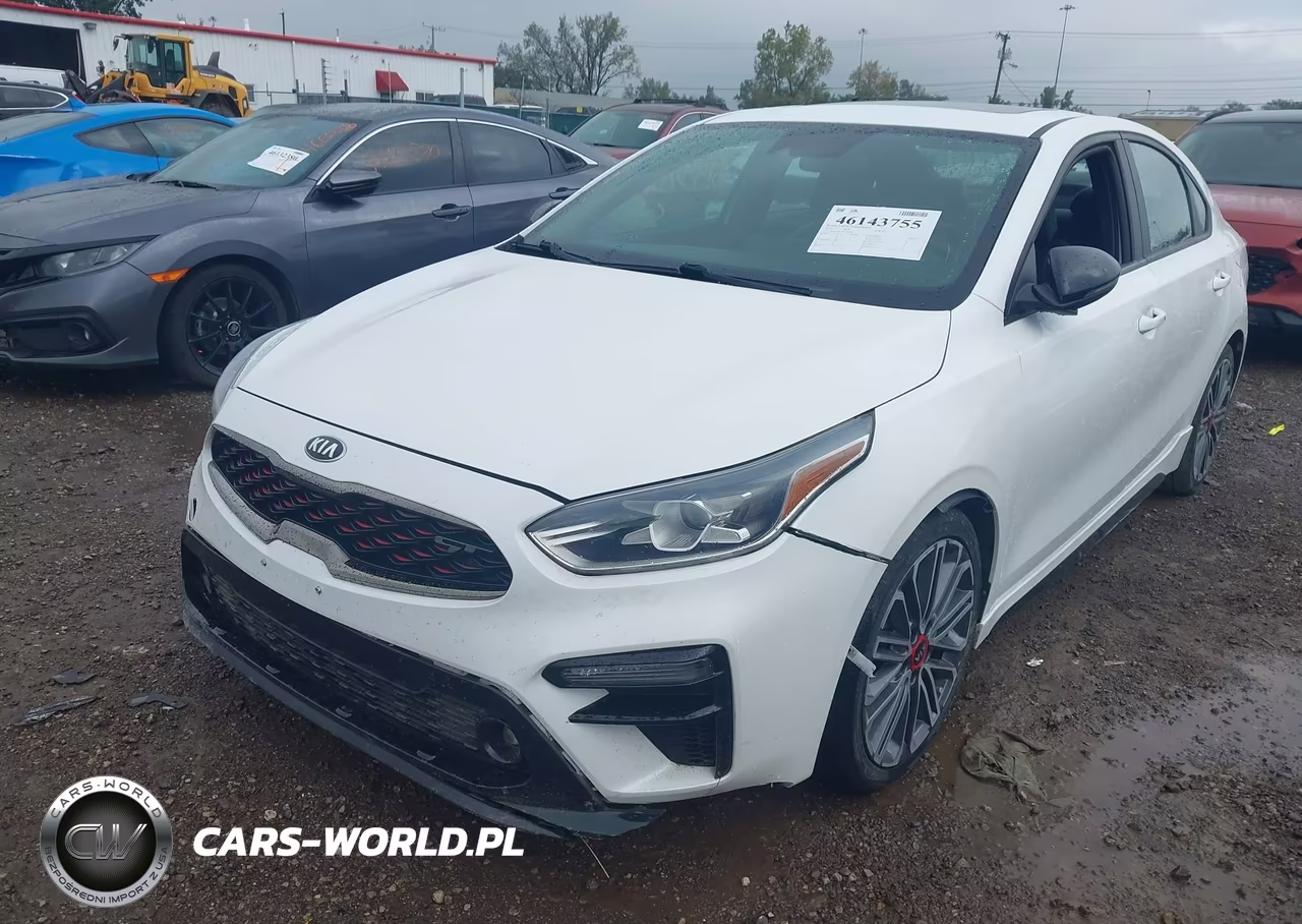 2021 Kia Forte Gt Manual VIN:3KPF44AC7ME282441 - 6