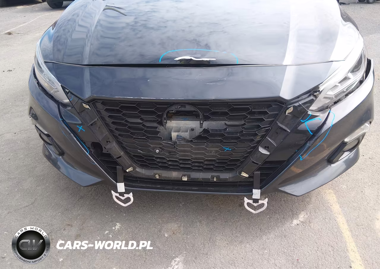 2019 Nissan Altima 2.5 Sv VIN:1N4BL4DW1KN304911 - 6