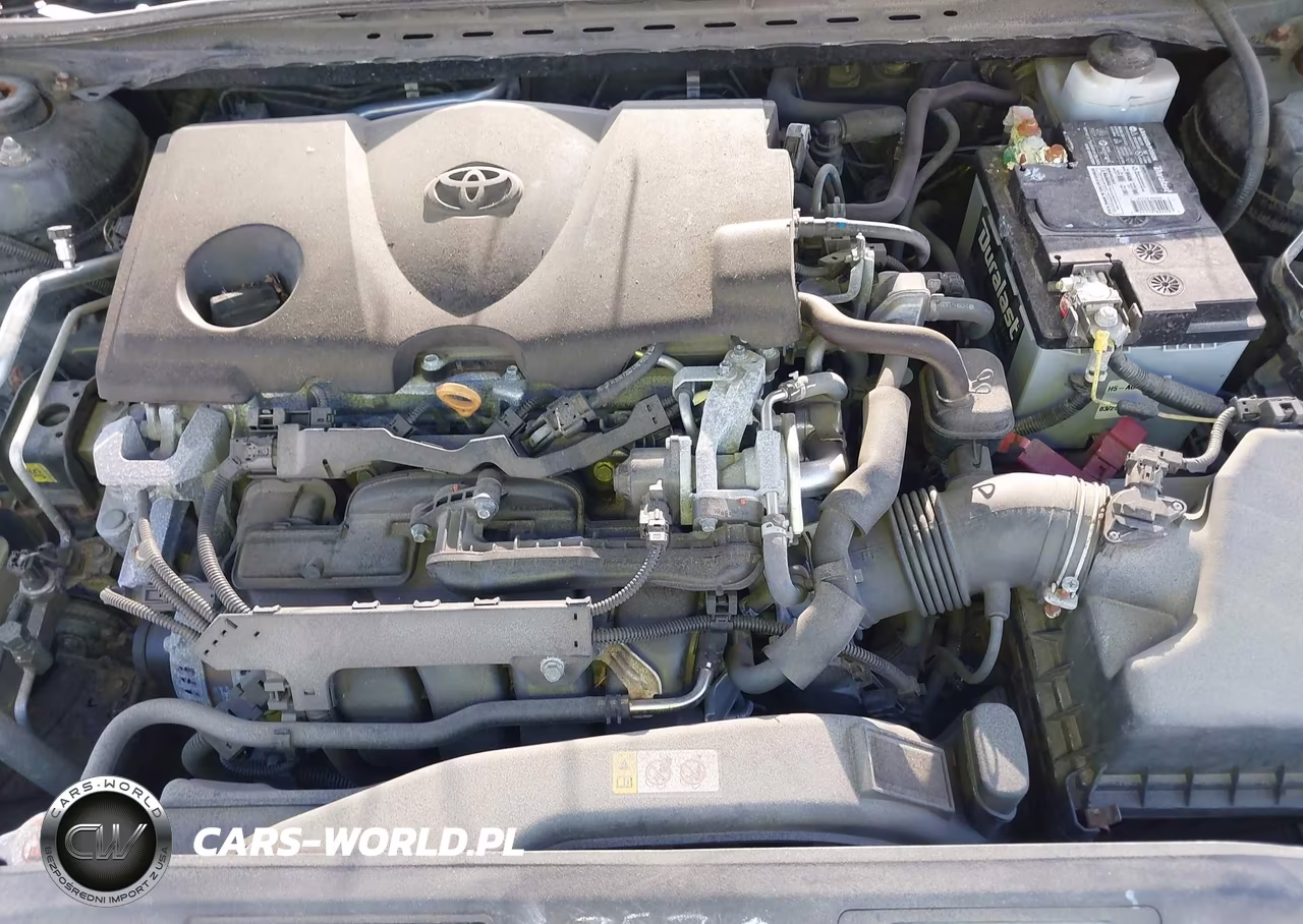 2019 Toyota Camry Se VIN:4T1B11HK5KU231193 - 10