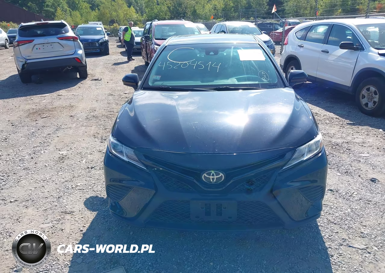 2019 Toyota Camry Se VIN:4T1B11HK5KU231193 - 12