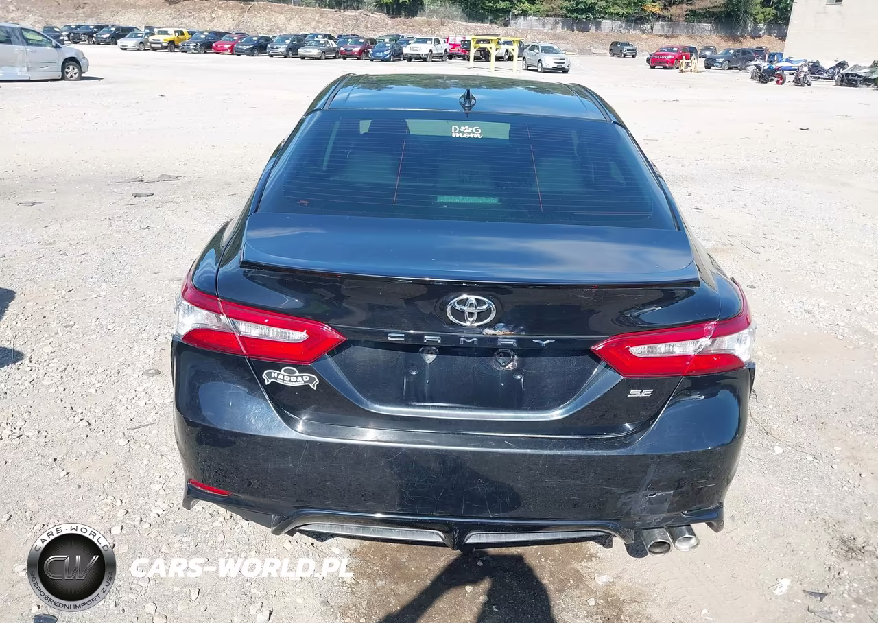 2019 Toyota Camry Se VIN:4T1B11HK5KU231193 - 16