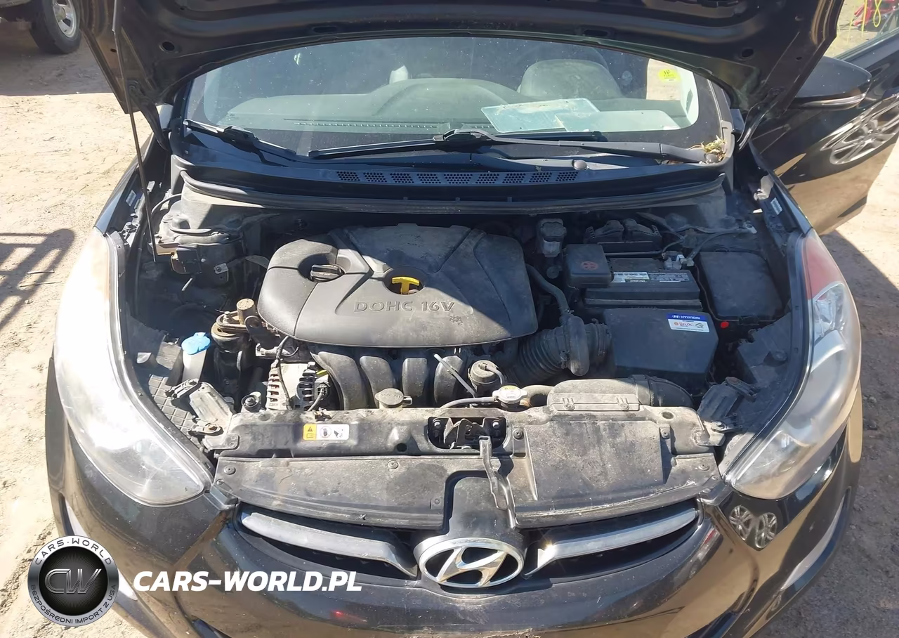 2013 Hyundai Elantra Limited (Ulsan Plant) VIN:KMHDH4AE9DU983699 - 10