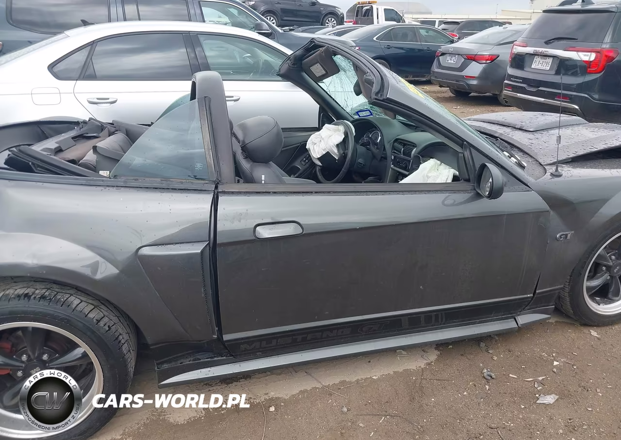 2003 Ford Mustang Gt VIN:1FAFP45X43F398954 - 12