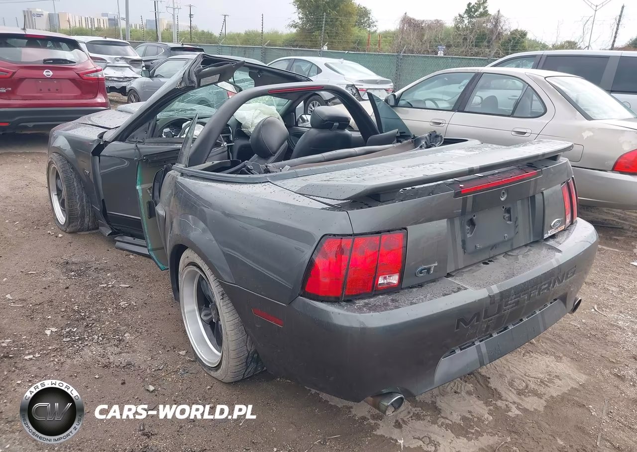2003 Ford Mustang Gt VIN:1FAFP45X43F398954 - 3