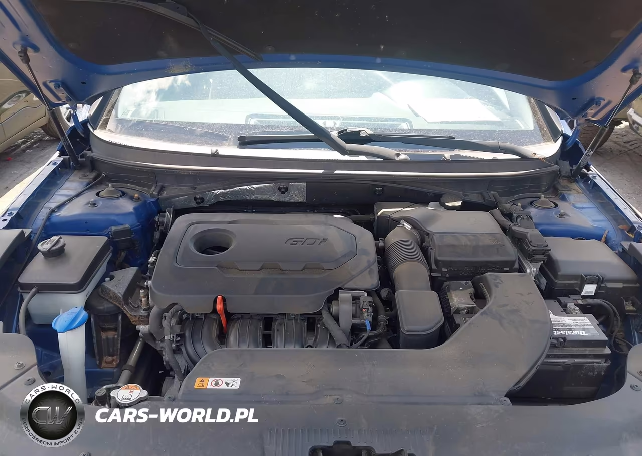 2016 Hyundai Sonata Se VIN:5NPE24AF3GH353484 - 10