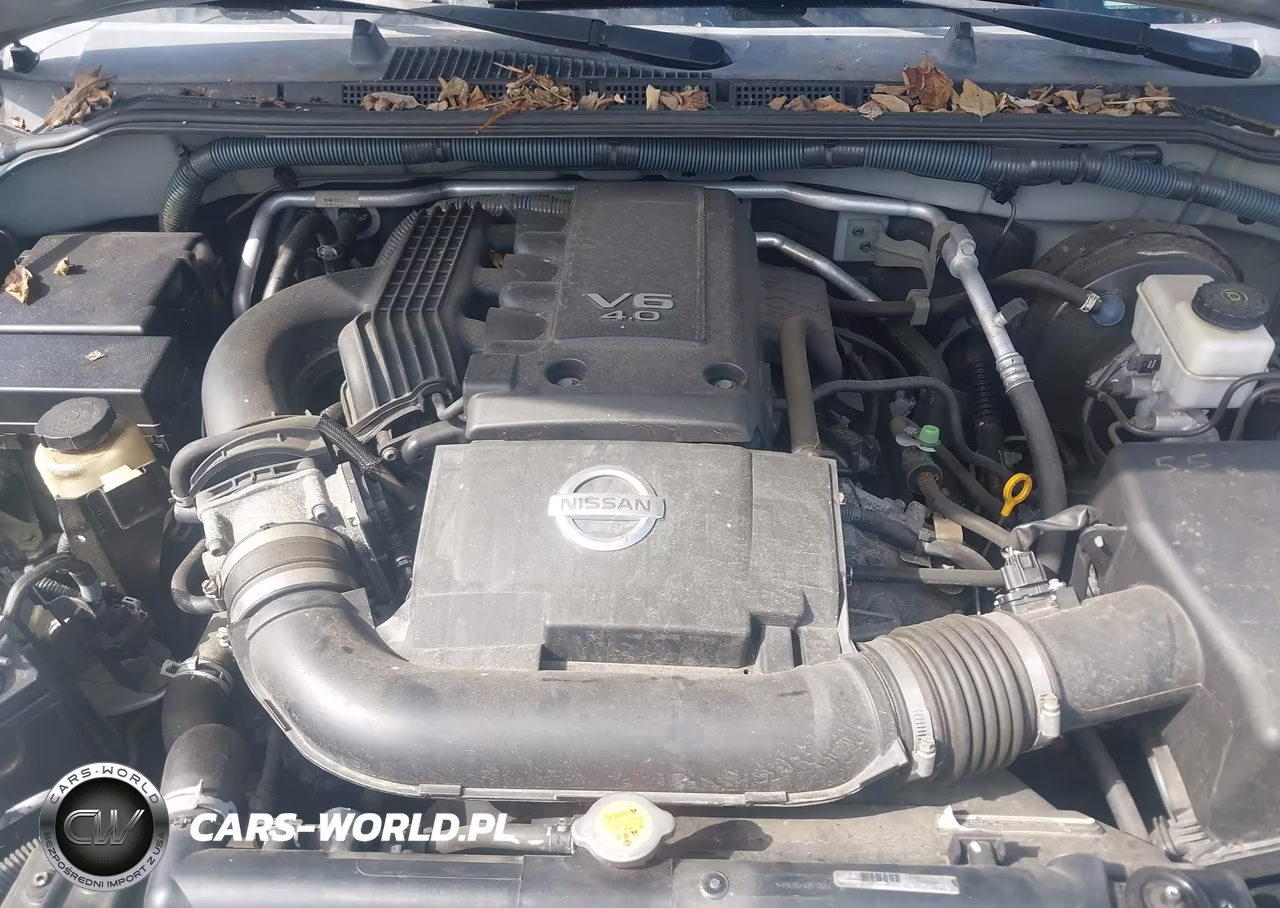 2010 Nissan Frontier Pro-4X VIN:1N6AD0CW4AC419796 - 10