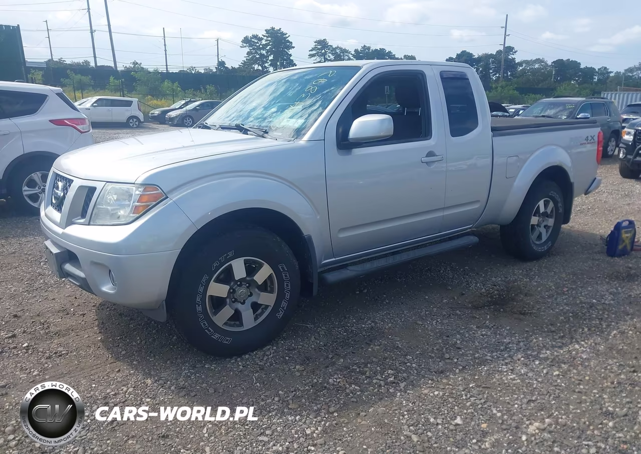 2010 Nissan Frontier Pro-4X VIN:1N6AD0CW4AC419796 - 2