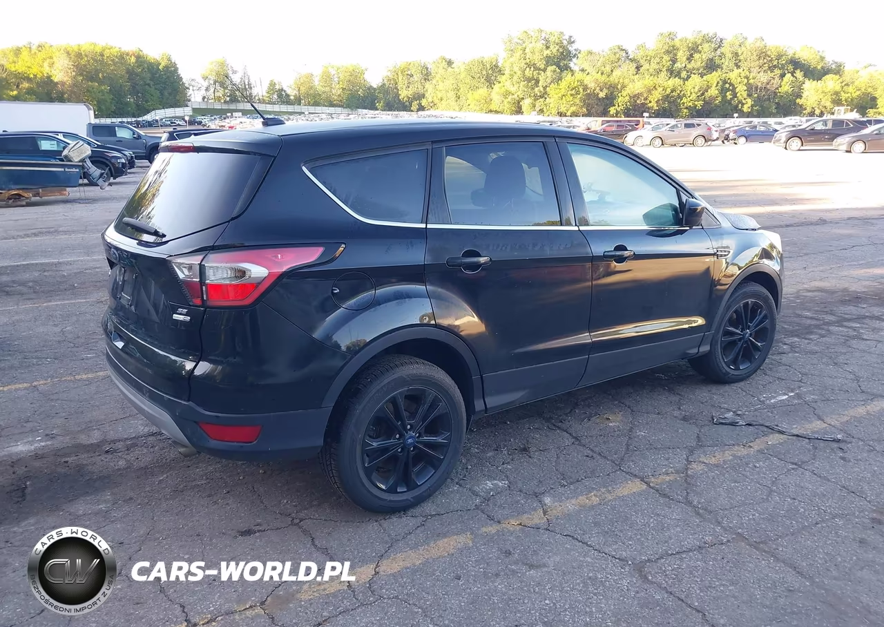 2017 Ford Escape Se VIN:1FMCU9GD7HUB70368 - 4