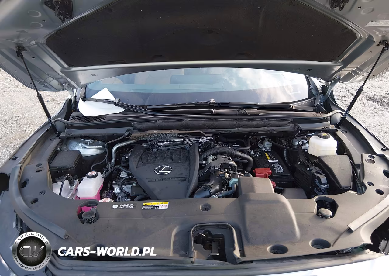 2024 Lexus Rx 350 Premium VIN:2T2BAMCA9RC072251 - 10