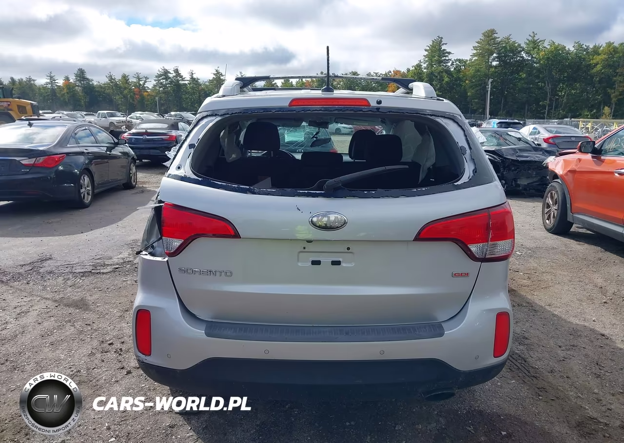 2014 Kia Sorento Lx VIN:5XYKTCA66EG454887 - 17
