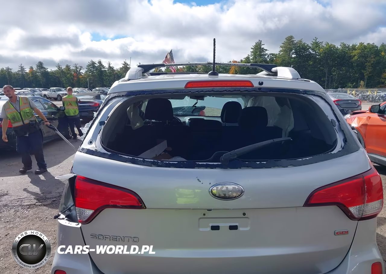 2014 Kia Sorento Lx VIN:5XYKTCA66EG454887 - 18