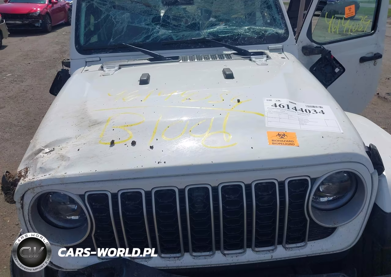 2025 Jeep Wrangler 4-Door Sahara 4X4 VIN:1C4PJXEG5SW631658 - 10