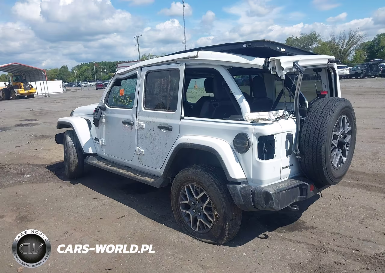 2025 Jeep Wrangler 4-Door Sahara 4X4 VIN:1C4PJXEG5SW631658 - 3