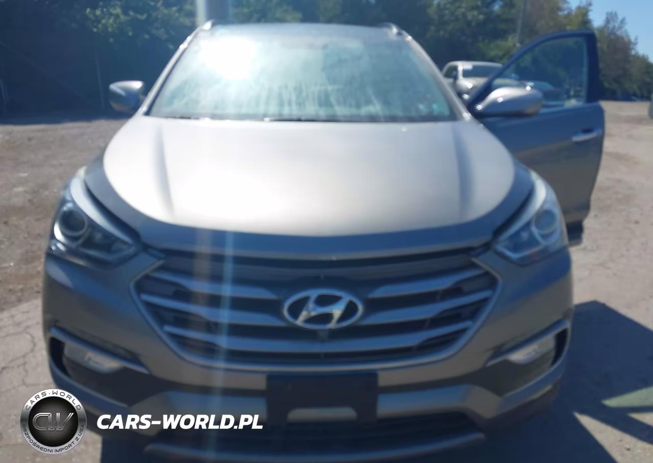 2017 Hyundai Santa Fe Sport 2.0T Ultimate VIN:5XYZWDLA6HG423284 - 10