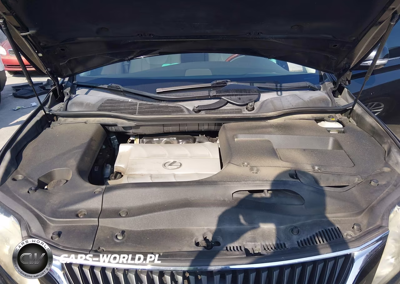2010 Lexus Rx 350 VIN:JTJZK1BA7A2401111 - 10