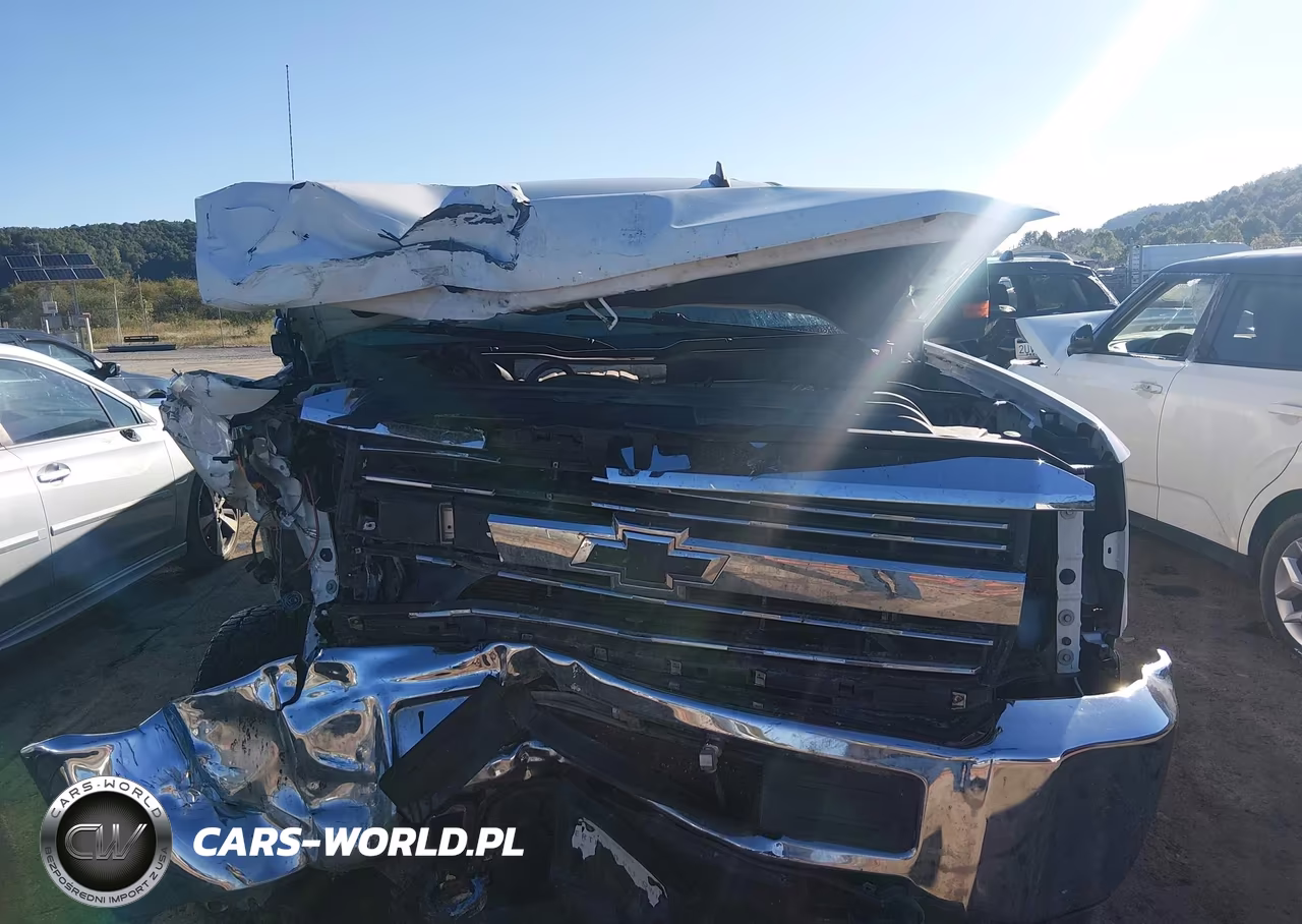 2016 Chevrolet Silverado 2500Hd Wt VIN:1GC1KUE80GF114642 - 12