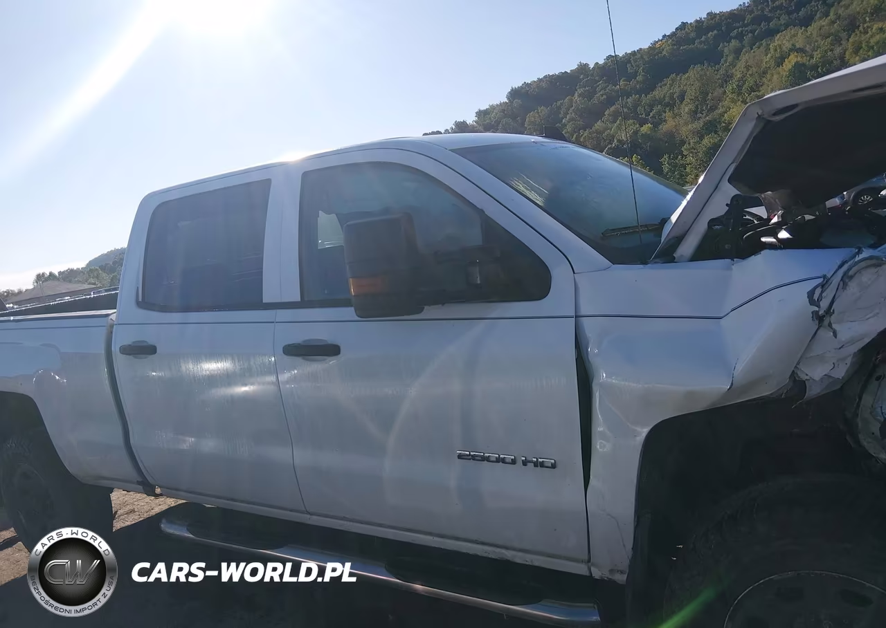 2016 Chevrolet Silverado 2500Hd Wt VIN:1GC1KUE80GF114642 - 13