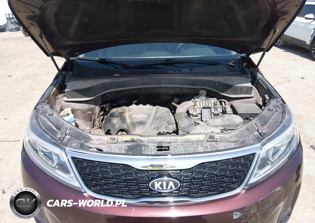 2014 Kia Sorento Lx VIN:5XYKT3A69EG487513 - 10