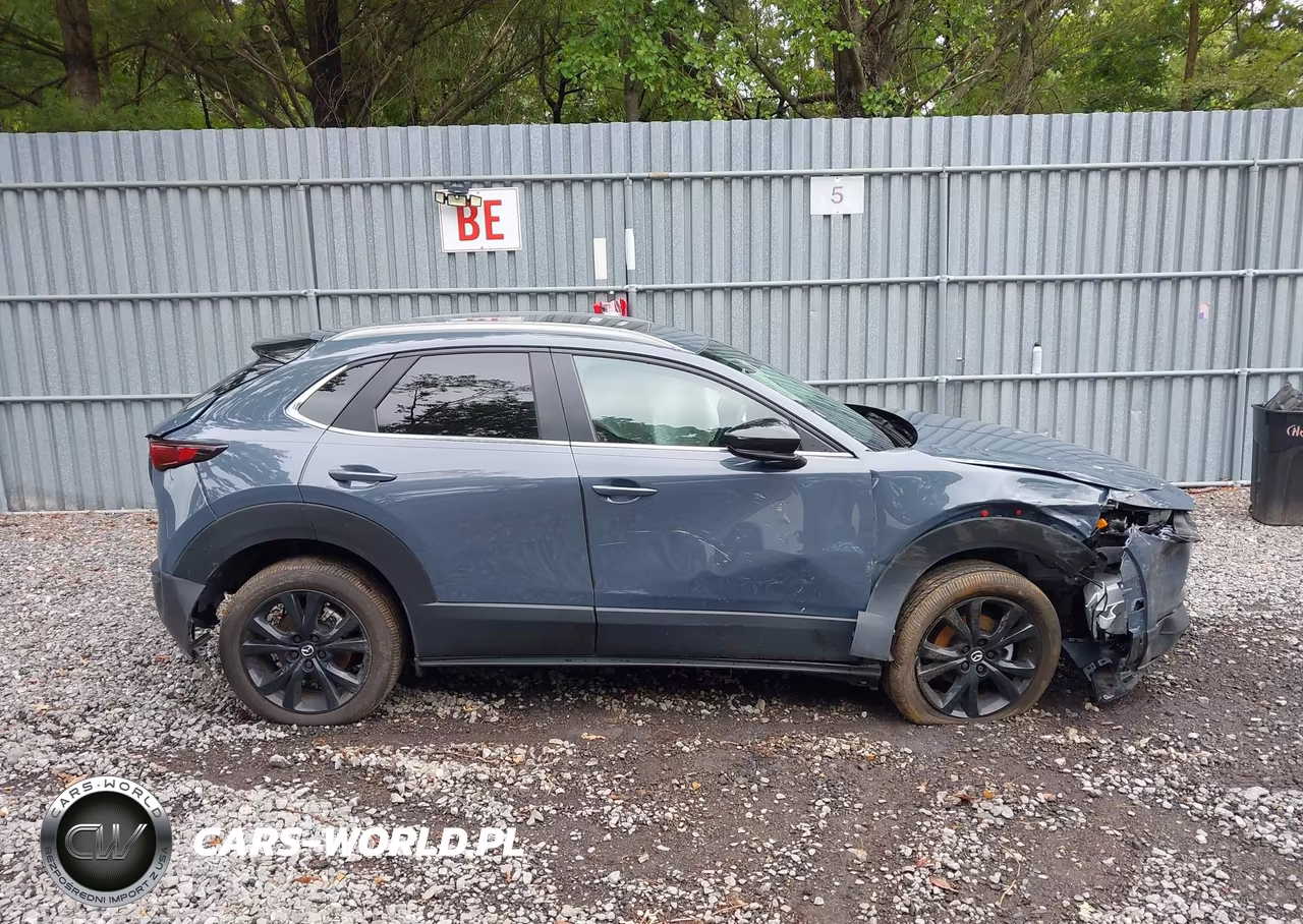 2025 Mazda Cx-30 2.5 S Carbon Edition VIN:3MVDMBCM7SM836984 - 13
