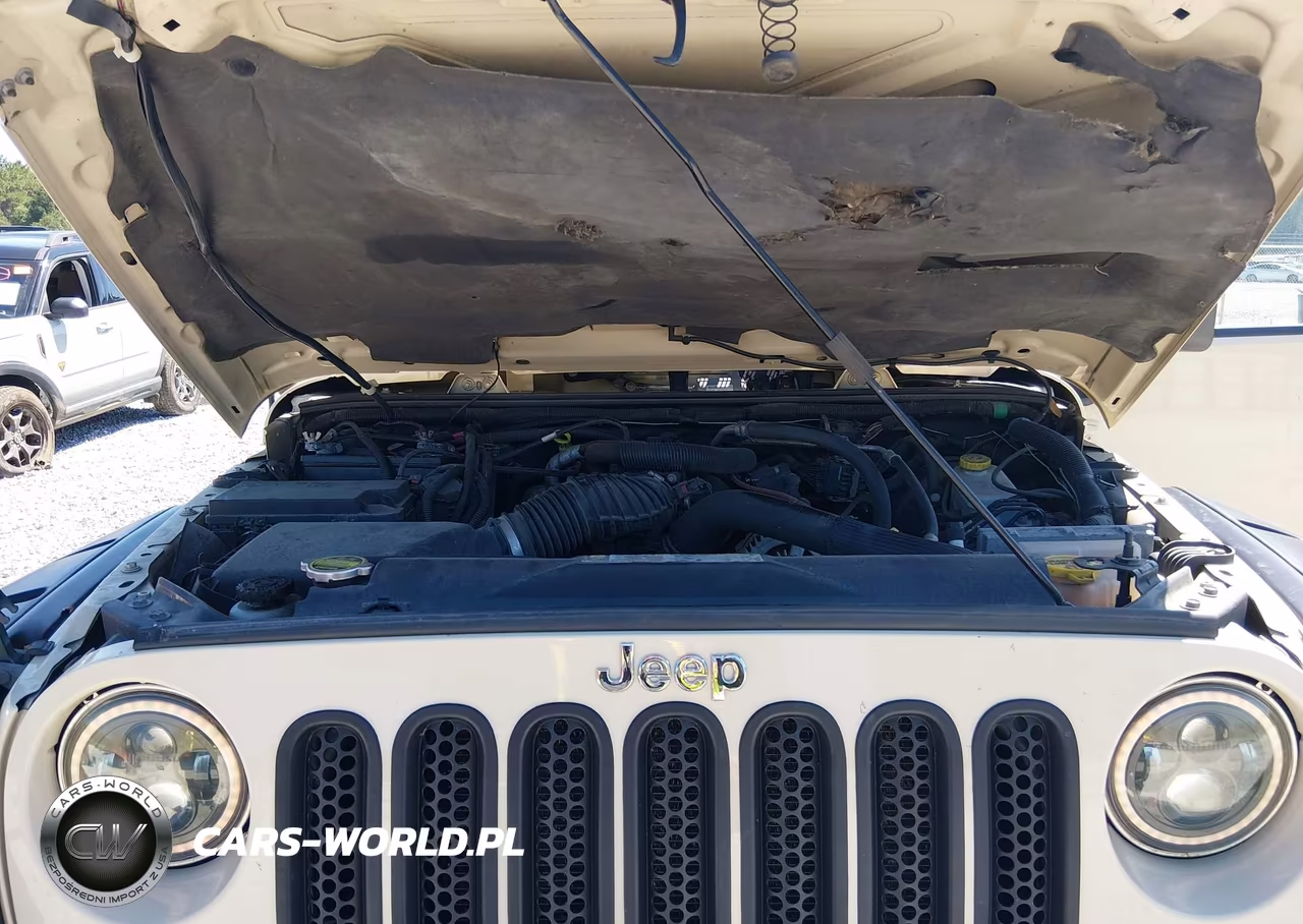 2011 Jeep Wrangler Unlimited Sahara VIN:1J4HA5H18BL603980 - 10