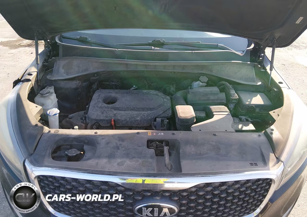 2016 Kia Sorento 2.4L L VIN:5XYPG4A37GG028215 - 10